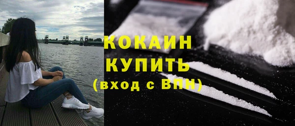 прущие грибы Володарск