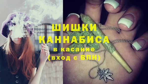прущие грибы Володарск