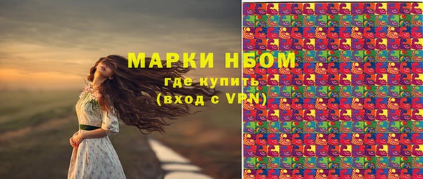 прущие грибы Володарск