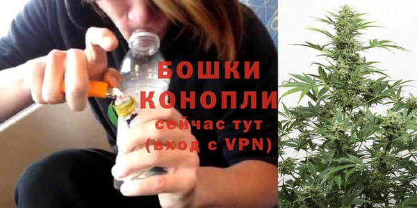 прущие грибы Володарск