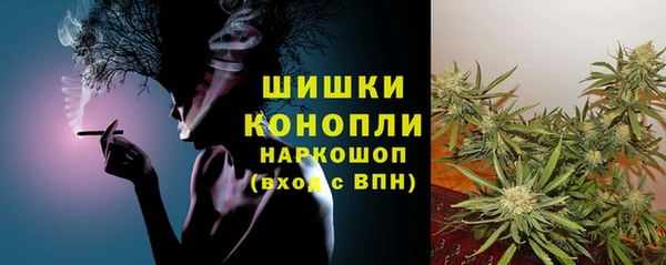 прущие грибы Володарск
