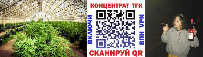 Дистиллят ТГК концентрат Сегежа